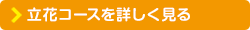 立花コースを詳しく見る