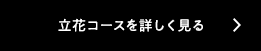 立花コースを詳しく見る