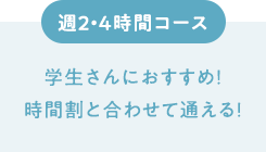 週2・4時間コース