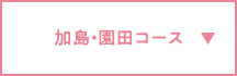 加島・園田コース